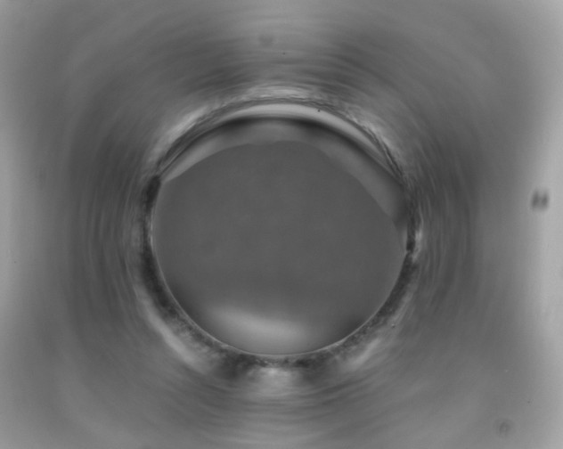 X0000091860352200709051213