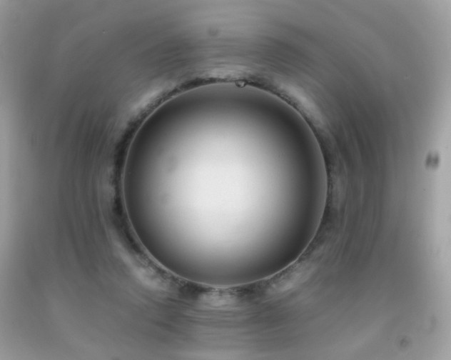 X0000091860354200709051213