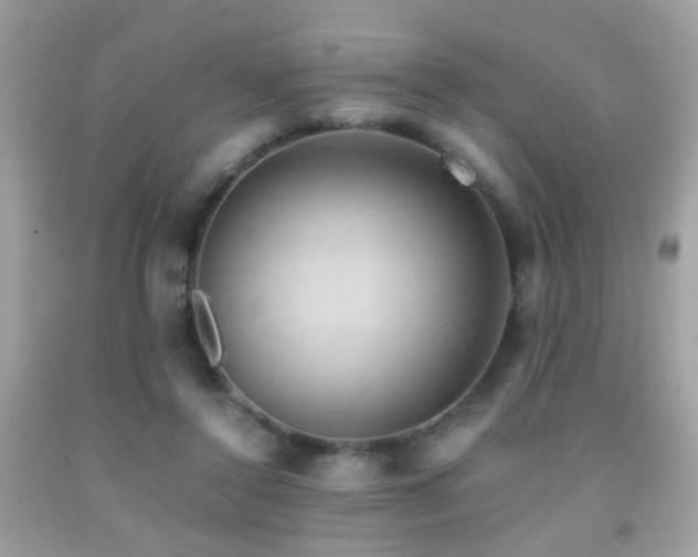 X0000091860356200709051213