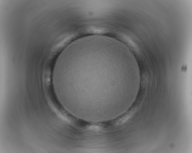 X0000091860358200709051213