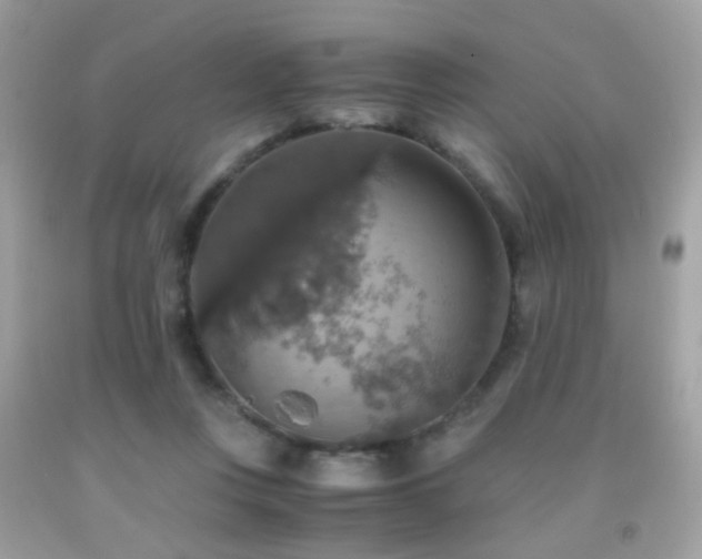 X0000091860359200709051213