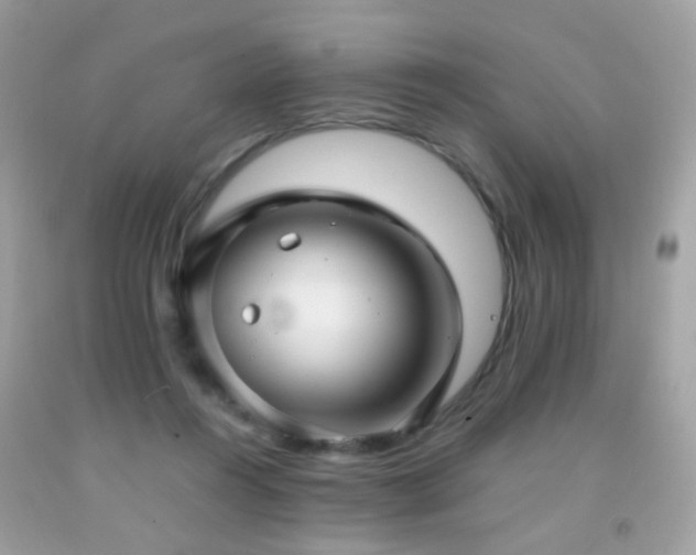 X0000091860360200709051213