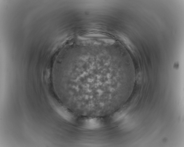 X0000091860365200709051213