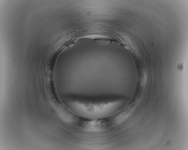 X0000091860366200709051213