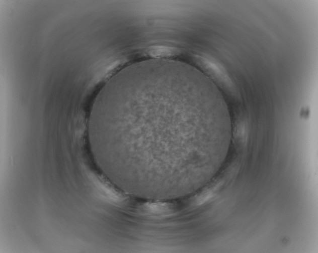 X0000091860367200709051213