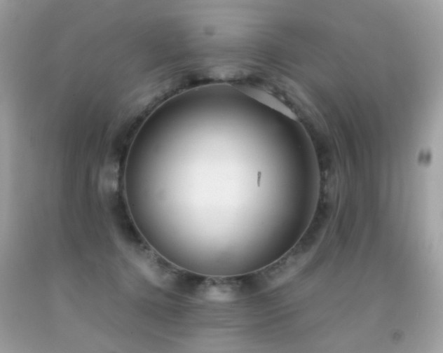 X0000091860368200709051213