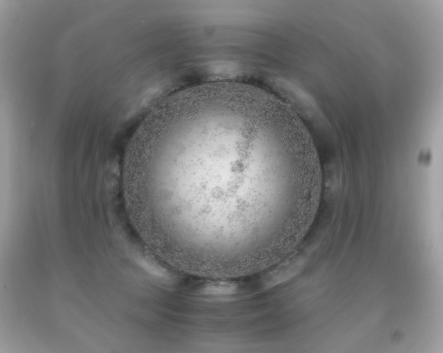 X0000091860369200709051213