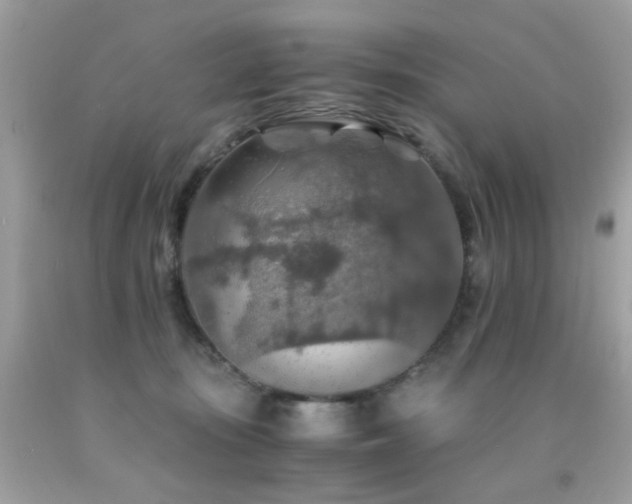 X0000091860371200709051213