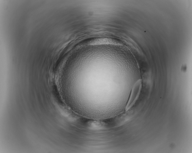 X0000091860372200709051213