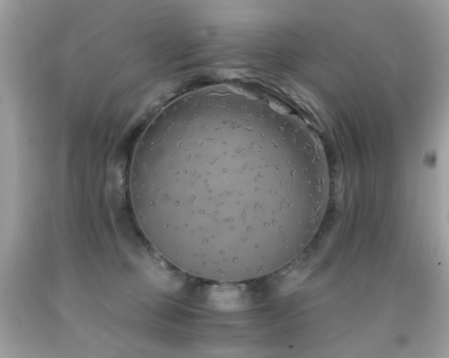 X0000091860373200709051213