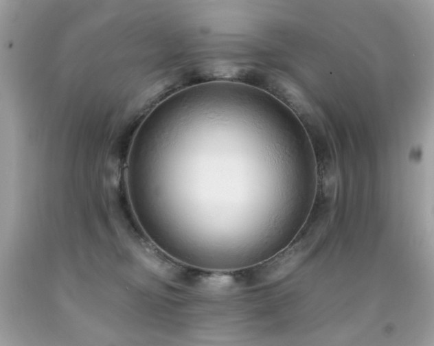 X0000091860374200709051213