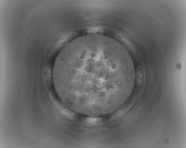 X0000091860375200709051213