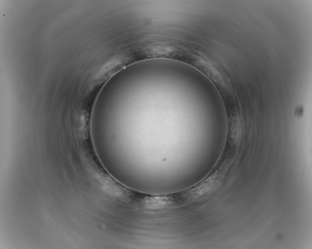 X0000091860378200709051213