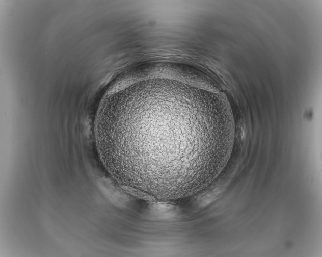 X0000091860380200709051213