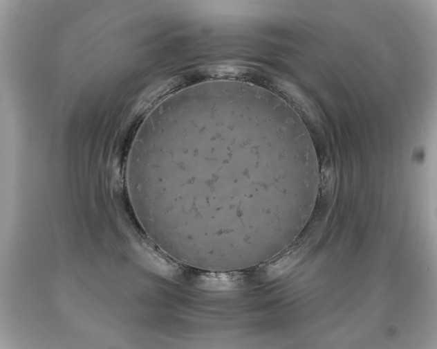 X0000091860381200709051213