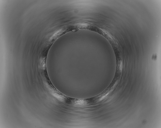 X0000091860383200709051213