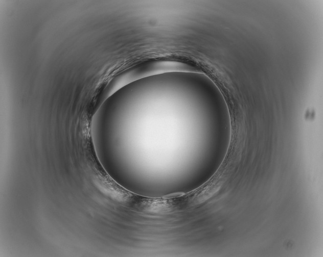 X0000091860384200709051213