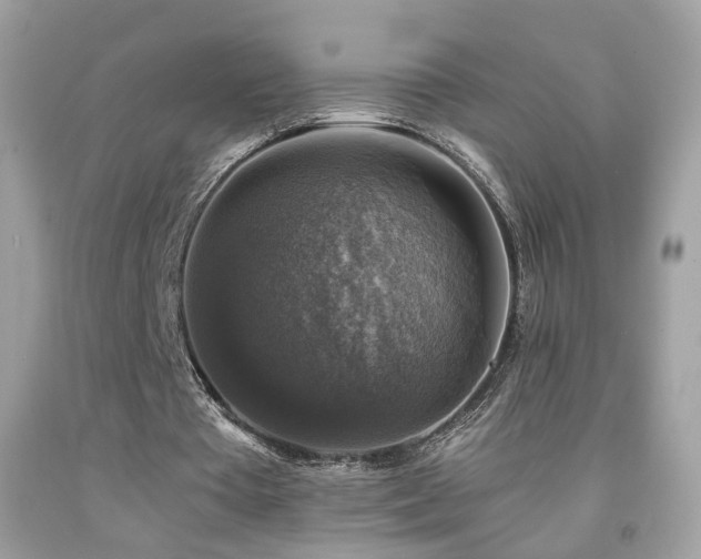 X0000091860385200709051213