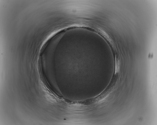 X0000091860387200709051213