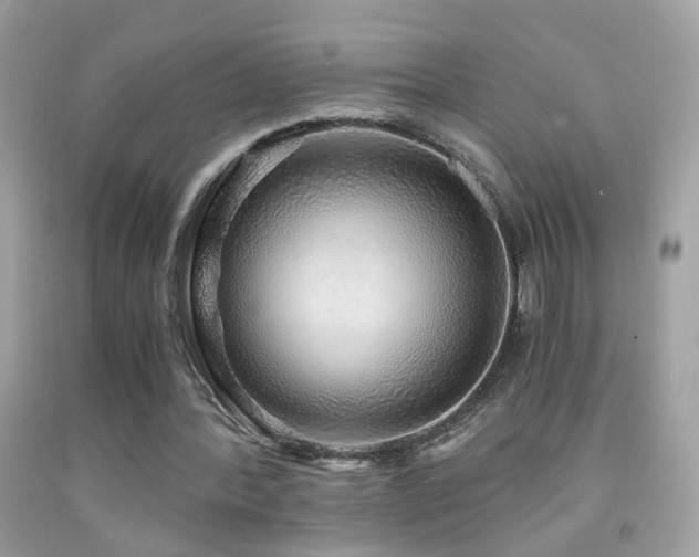 X0000091860388200709051213