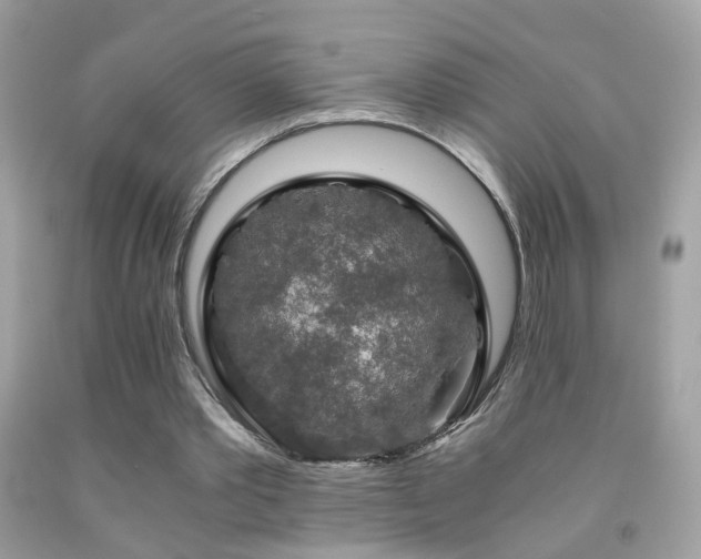 X0000091860389200709051212