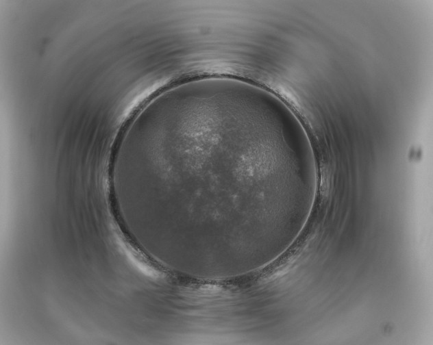 X0000091860390200709051212