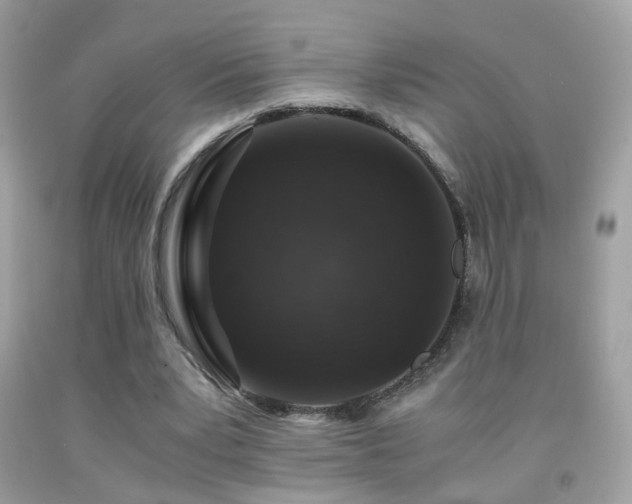 X0000091860391200709051212