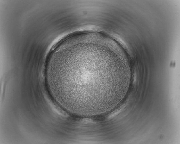 X0000091860392200709051212