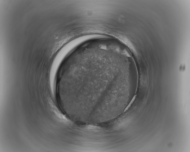 X0000091860393200709051212