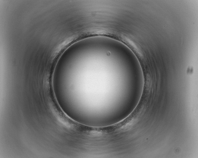 X0000091860394200709051212