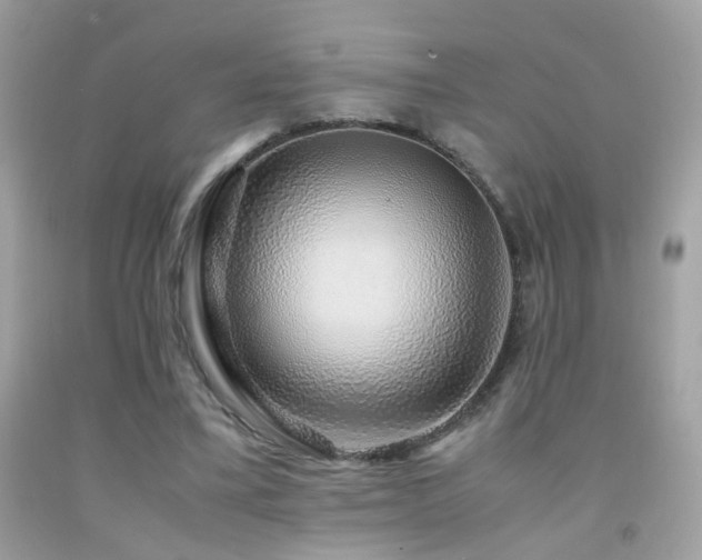 X0000091860395200709051212