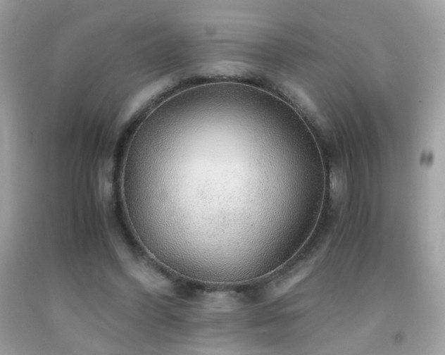 X0000091860396200709051212