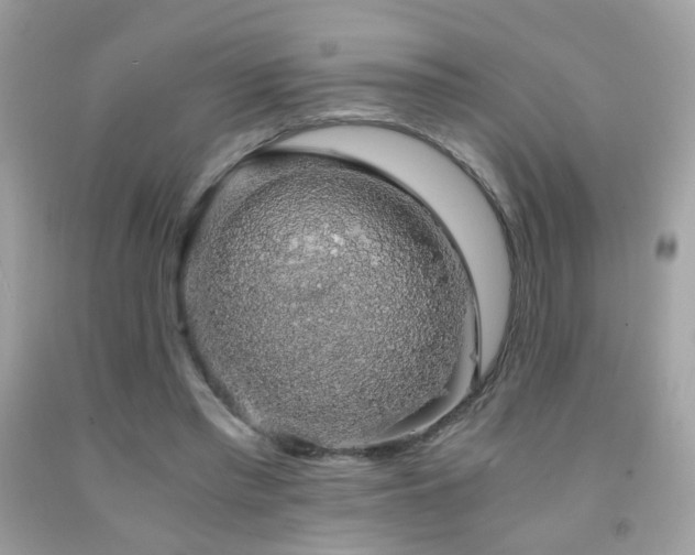 X0000091860397200709051212