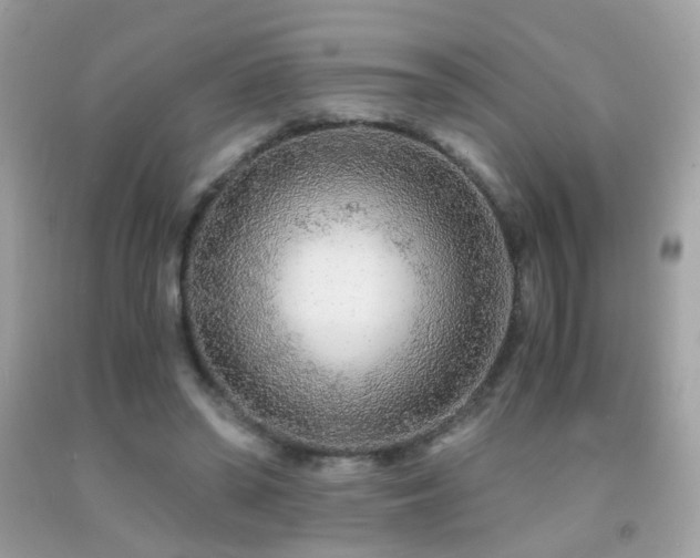 X0000091860398200709051212