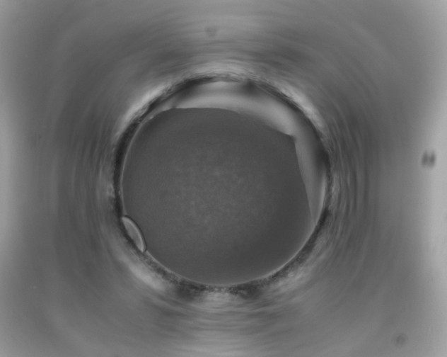 X0000091860399200709051212