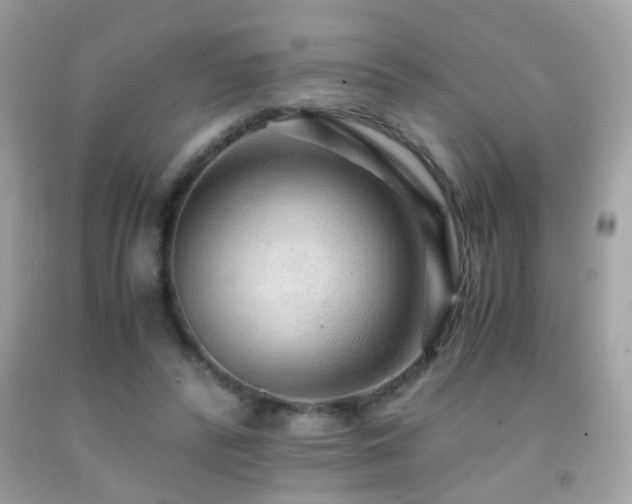 X0000091860400200709051212