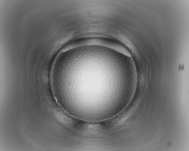 X0000091860401200709051212