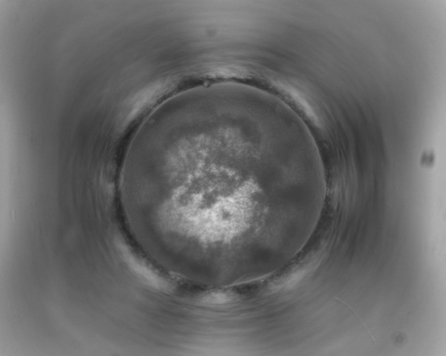 X0000091860402200709051212