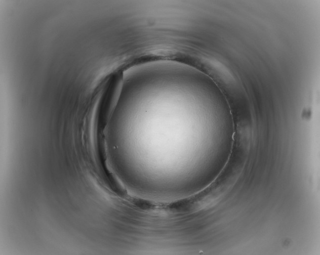 X0000091860404200709051212