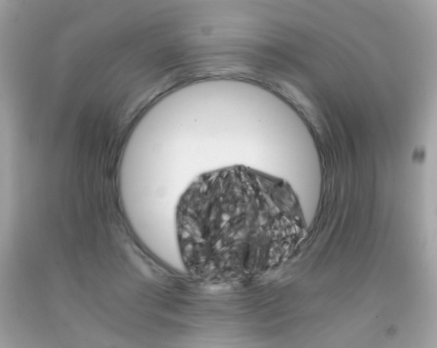 X0000091860405200709051212