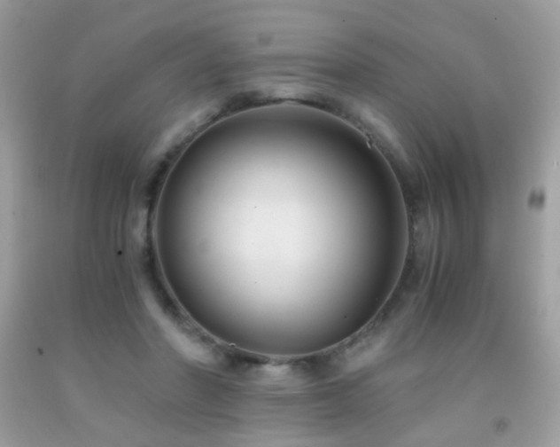 X0000091860406200709051212