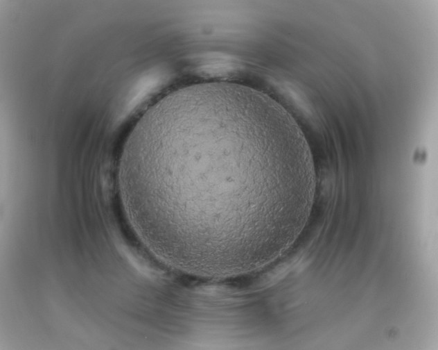 X0000091860408200709051212