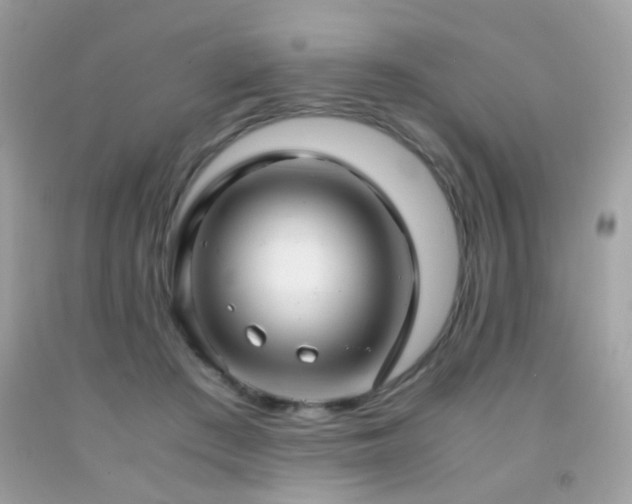 X0000091860409200709051212