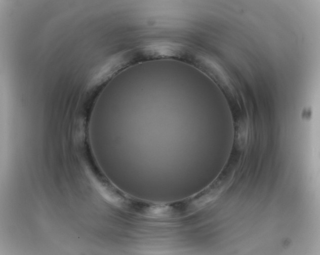 X0000091860410200709051212