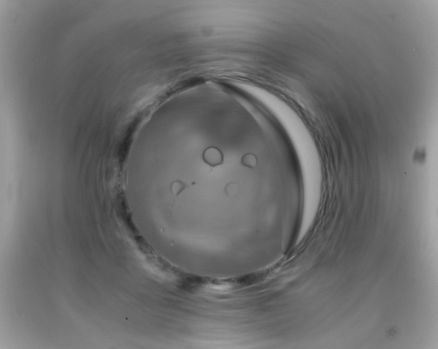 X0000091860411200709051212