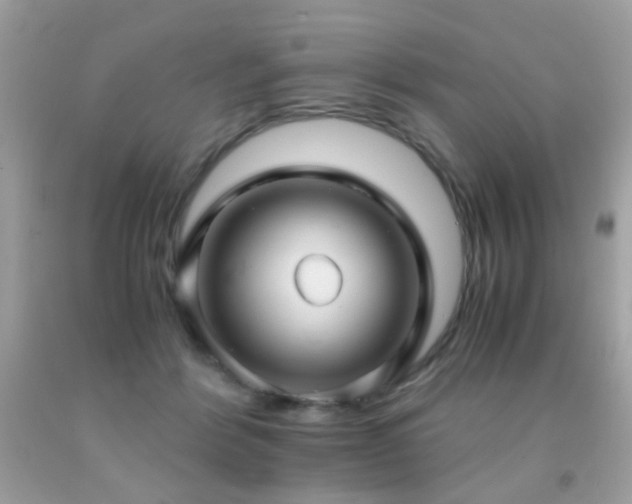 X0000091860412200709051212