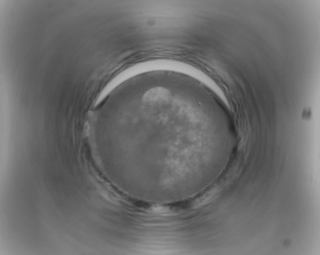 X0000091860413200709051212