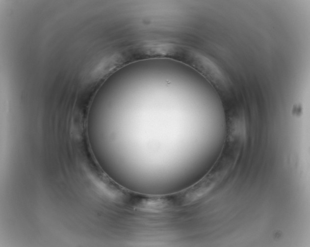 X0000091860414200709051212