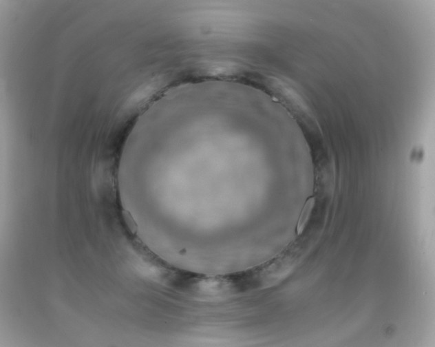 X0000091860415200709051212