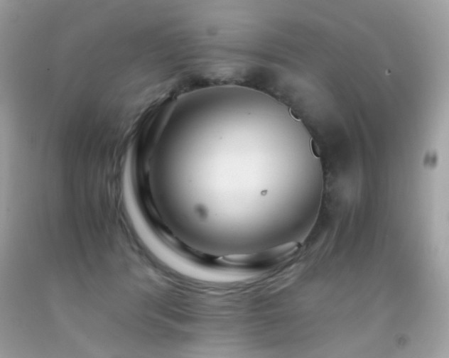 X0000091860416200709051212